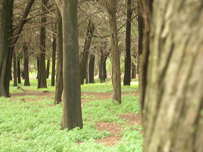 FDotografia Freelance